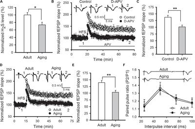 Hydrogen Sulfide Reverses Aging-Associated Amygdalar Synaptic Plasticity and Fear Memory Deficits in Rats